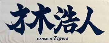 41X+IRbJBVL._AC_UF350, 41X+IRbJBVL._AC_UF350,